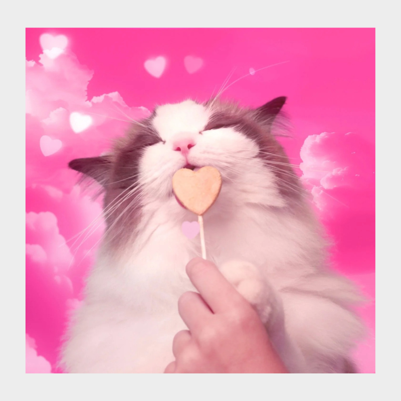 BONKERS Purrpops, Freeze Dried Chicken Flavored Lollipop Cat Treats, 36 pk.