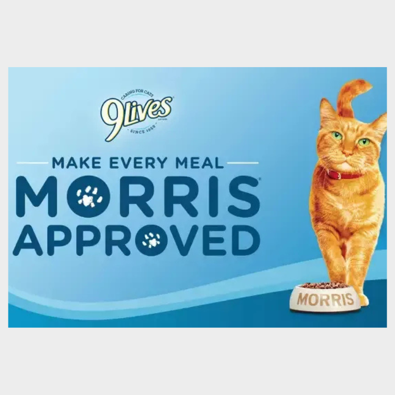 9Lives Paté Favorites Chicken & Tuna Wet Cat Food - 5.5oz/12ct Variety Pack