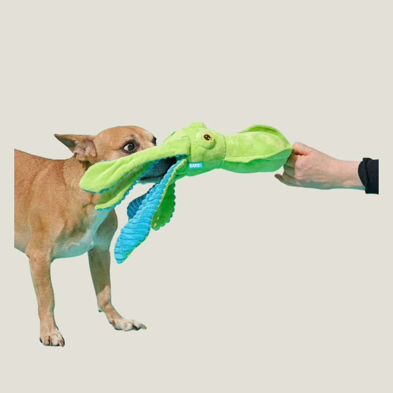 BARK Billy The Squid Dog Toy - Green