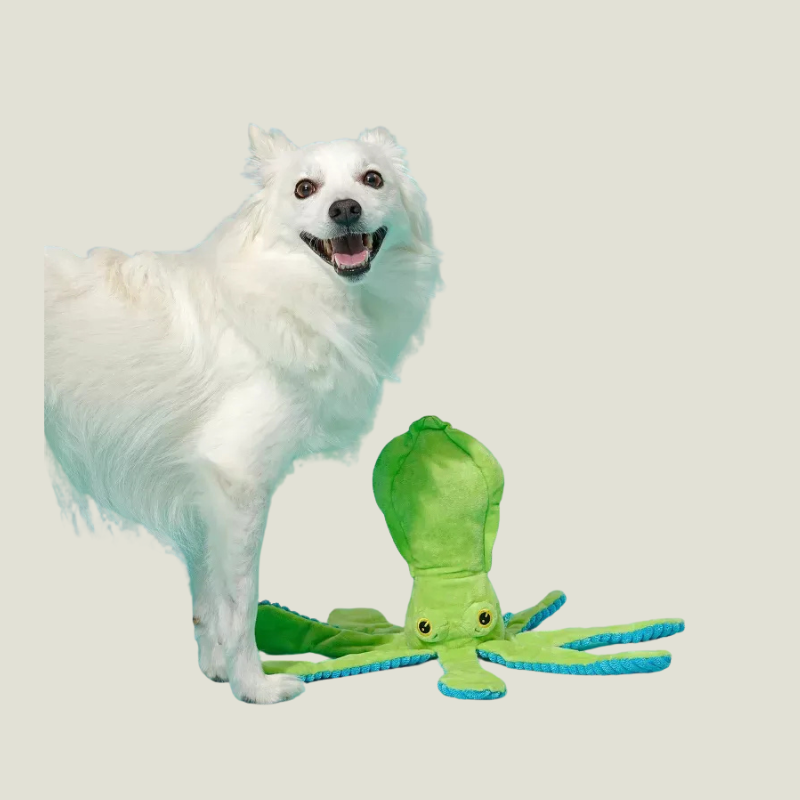 BARK Billy The Squid Dog Toy - Green