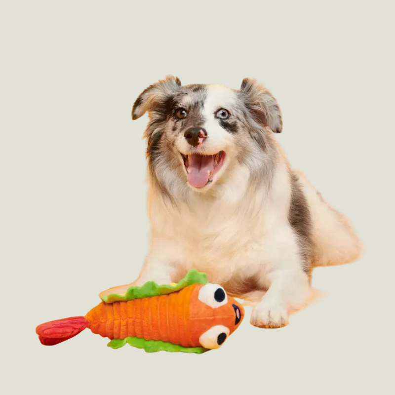 BARK Eduardo The Shrimp Taco Dog Toy