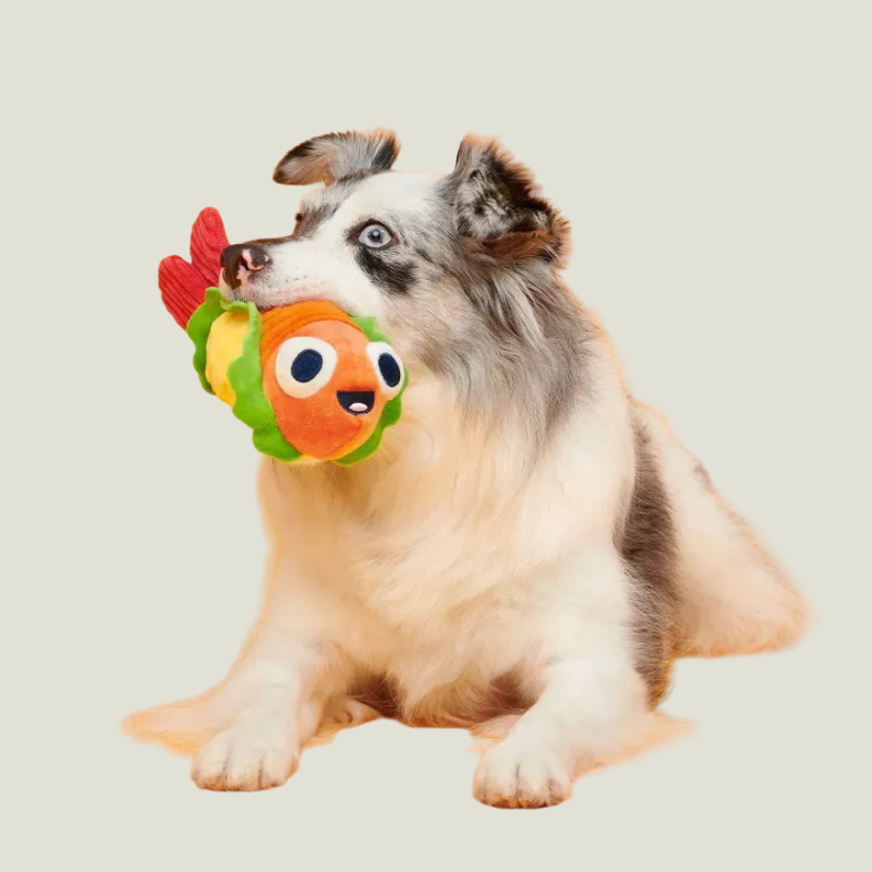 BARK Eduardo The Shrimp Taco Dog Toy
