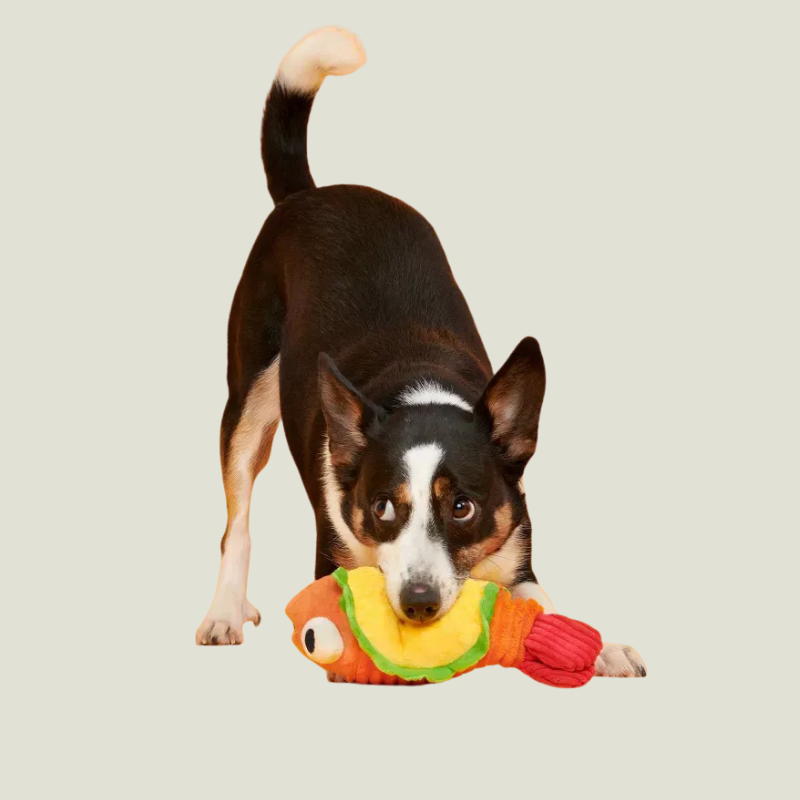 BARK Eduardo The Shrimp Taco Dog Toy