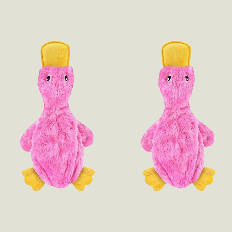 Link Active Crinkle Dog Toy for Small, Medium, and Large Breeds, Cute No Stuffing Duck with Soft Squeaker (2 Pack)
