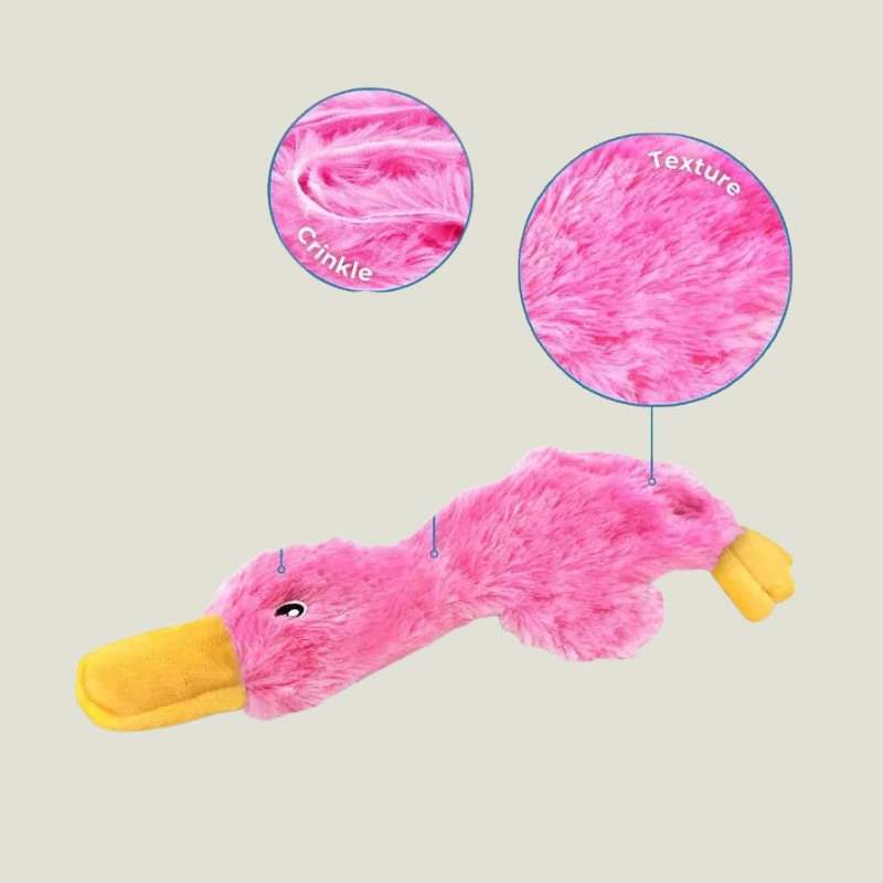 Link Active Crinkle Dog Toy for Small, Medium, and Large Breeds, Cute No Stuffing Duck with Soft Squeaker (2 Pack)