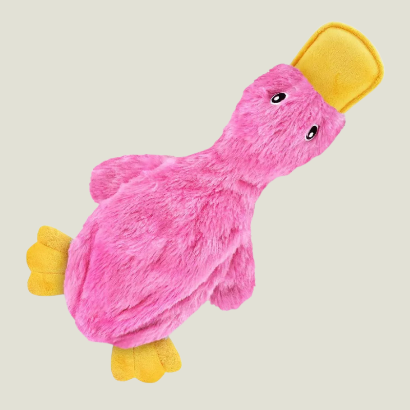 Link Active Crinkle Dog Toy for Small, Medium, and Large Breeds, Cute No Stuffing Duck with Soft Squeaker (2 Pack)