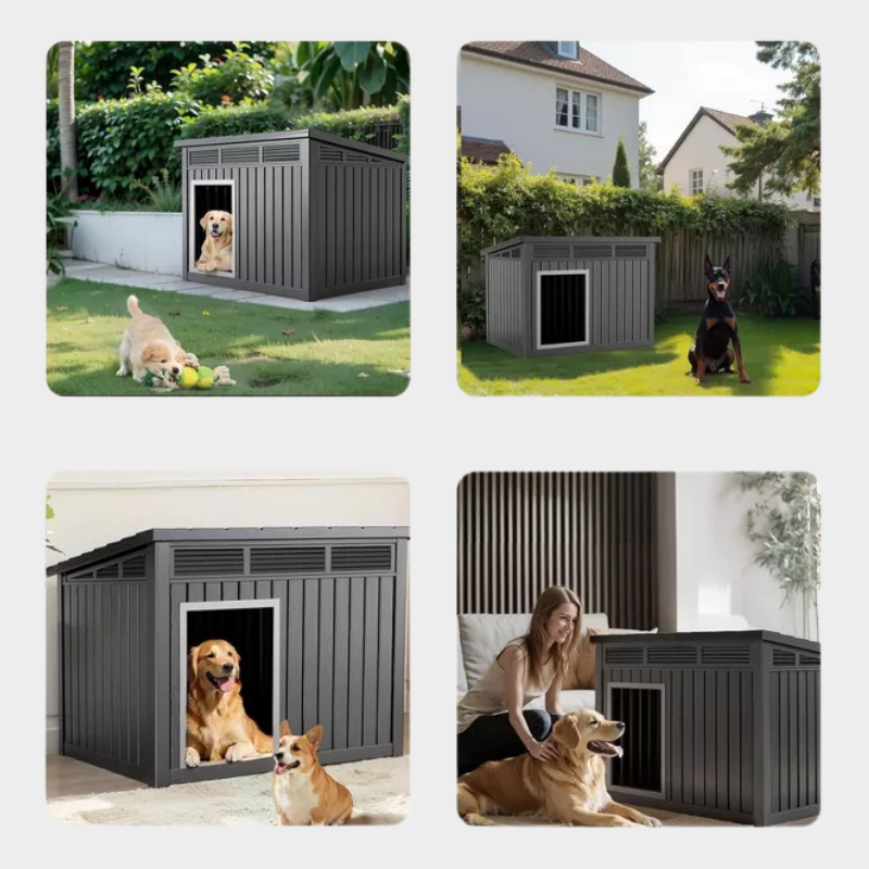 Decksplore Modern & Durable Weather-Resistant Pet House for Medium Dogs