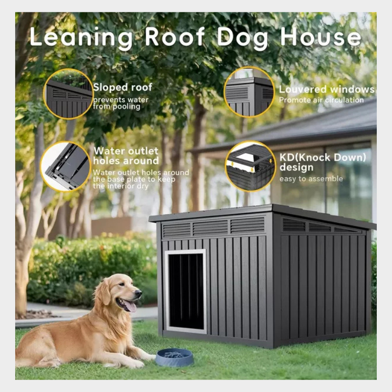 Decksplore Modern & Durable Weather-Resistant Pet House for Medium Dogs