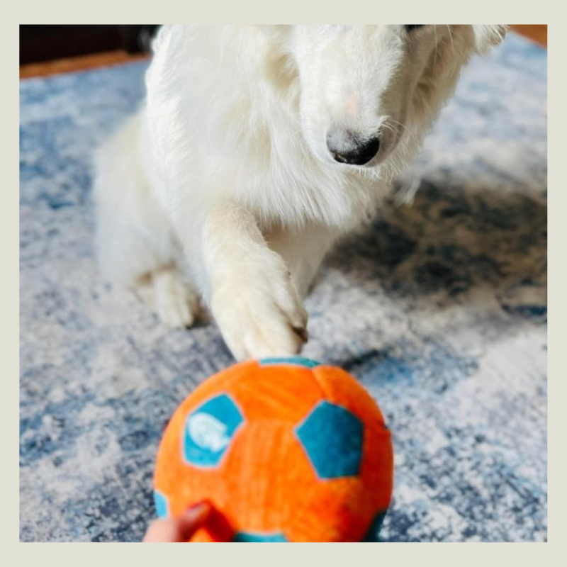 NERF X-Weave Soccer Squeak Ball Dog Toy - Orange/Blue - S