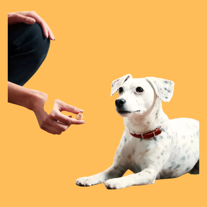 Milk-Bone Maro Snacks with Real Bone Marrow Dog Treats