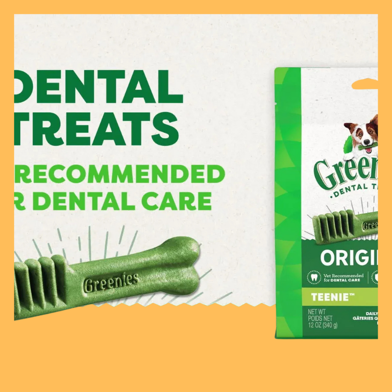 Greenies Chewy Dog Pill Pockets Peanut Butter Capsule Size Dog Treats