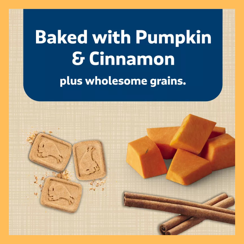 Blue Buffalo Health Bars Pumpkin and Cinnamon Flavor Natural Crunchy Dog Treat Biscuits - 16oz
