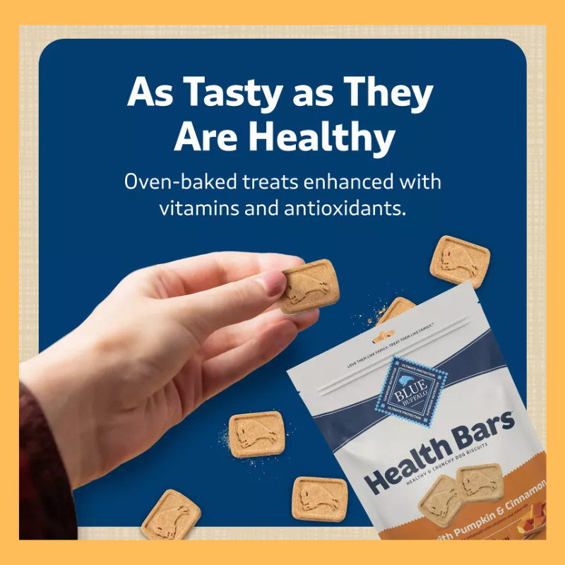 Blue Buffalo Health Bars Pumpkin and Cinnamon Flavor Natural Crunchy Dog Treat Biscuits - 16oz