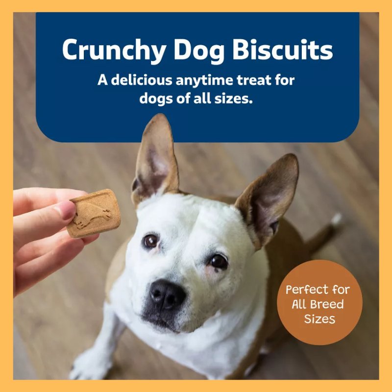 Blue Buffalo Health Bars Pumpkin and Cinnamon Flavor Natural Crunchy Dog Treat Biscuits - 16oz