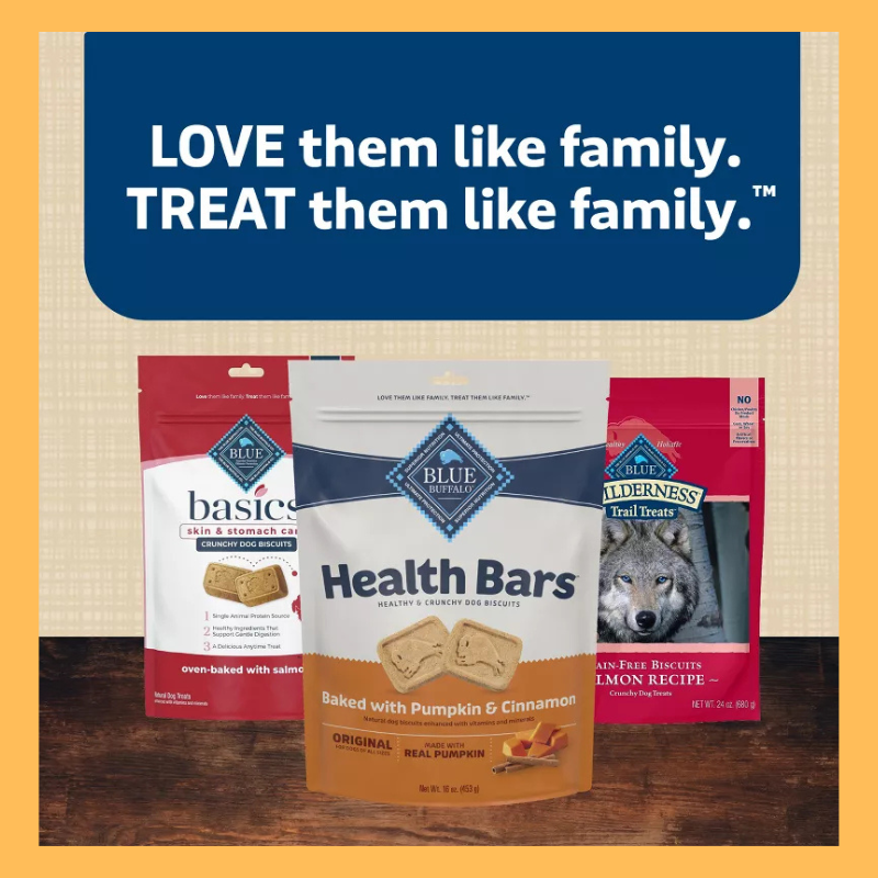 Blue Buffalo Health Bars Pumpkin and Cinnamon Flavor Natural Crunchy Dog Treat Biscuits - 16oz