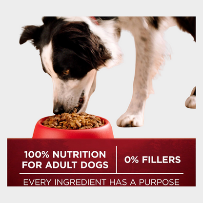 Purina ONE SmartBlend True Instinct Real Turkey & Venison, Adult Dry Dog Food, 40 lbs.