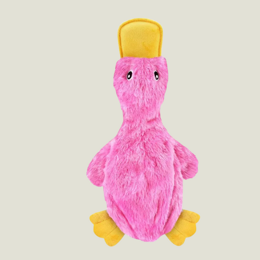 Link Active Crinkle Dog Toy for Small, Medium, and Large Breeds, Cute No Stuffing Duck with Soft Squeaker (2 Pack)