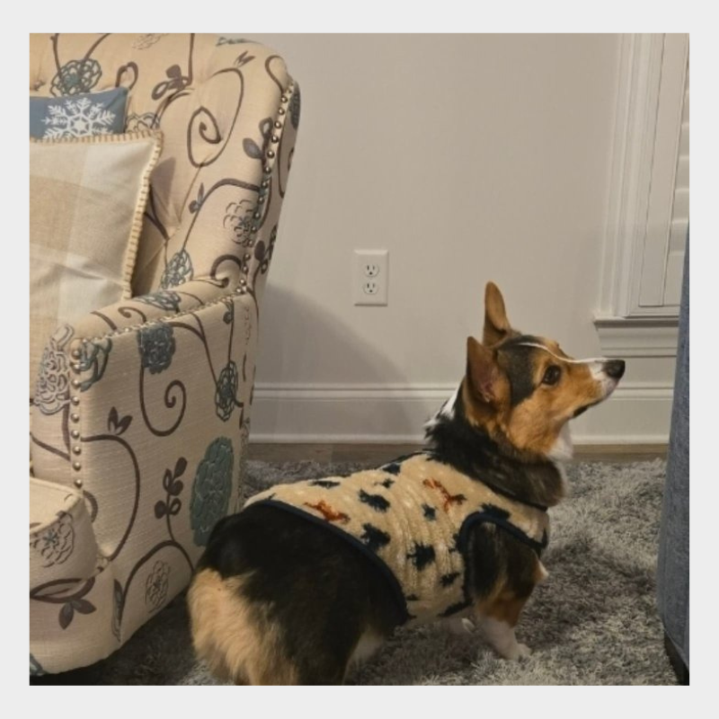 Trees and Wildlife Faux Shearling Dog and Cat Jacket - Wondershop™