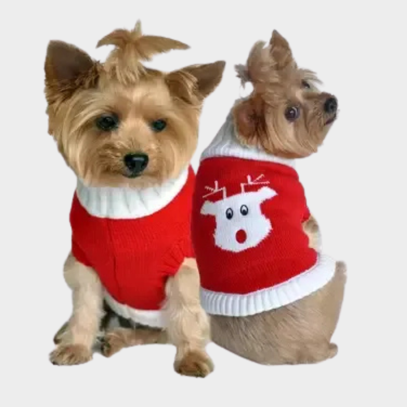 Cotton Cable Knit Dog Sweater - Red