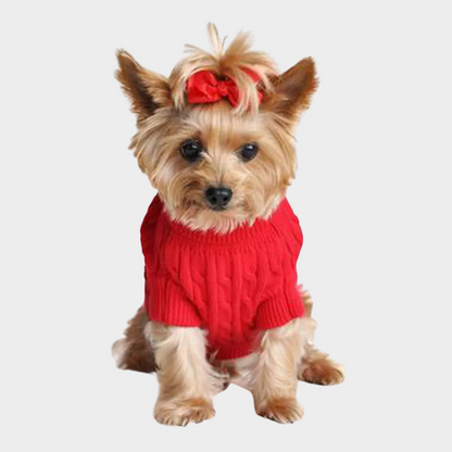 Cotton Cable Knit Dog Sweater - Red