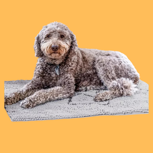 Dog Gone Smart Dirty Dog Doormat - Fast Drying Rug for Clean Floors - Super Absorbent Mat for Muddy Paws