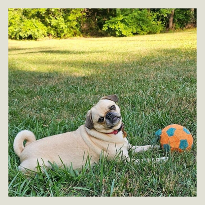 NERF X-Weave Soccer Squeak Ball Dog Toy - Orange/Blue - S