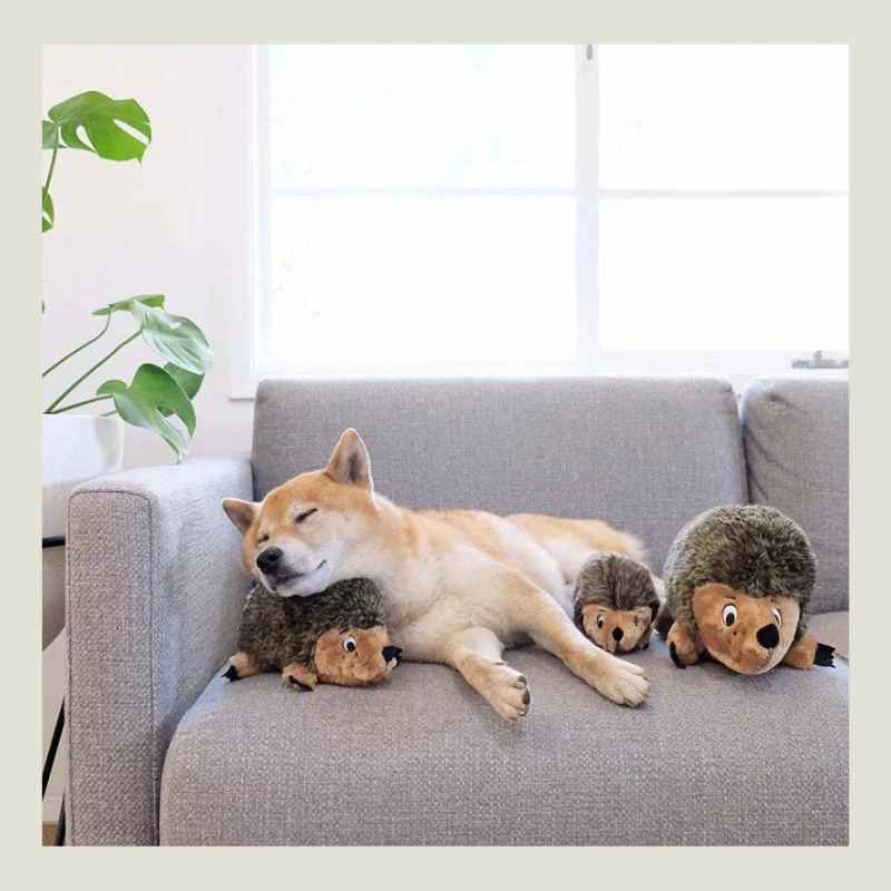 Outward Hound Hedgehogz Plush Dog Toy
