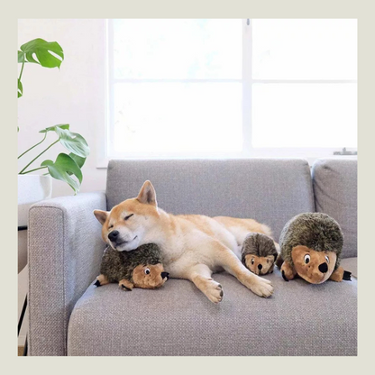 Outward Hound Hedgehogz Plush Dog Toy