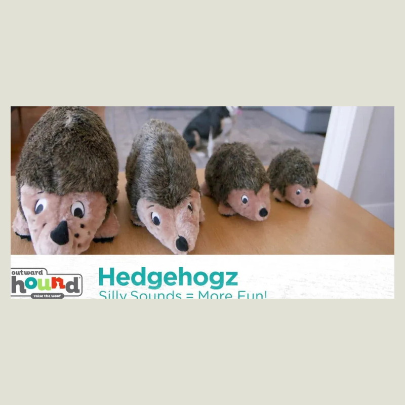 Outward Hound Hedgehogz Plush Dog Toy
