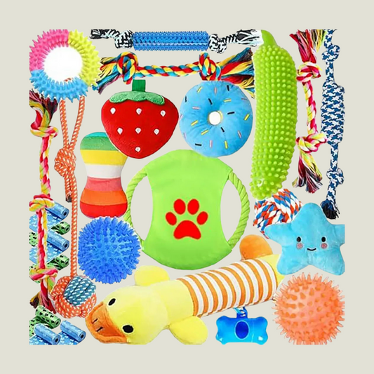 Itopfox Dog Toys 25 Pack for Fun and Teeth Cleaning, Puppy Chew Toys with Squeak Plush Toy, Squeaky Toy Balls, Tug of War and Rope Toys for Puppy